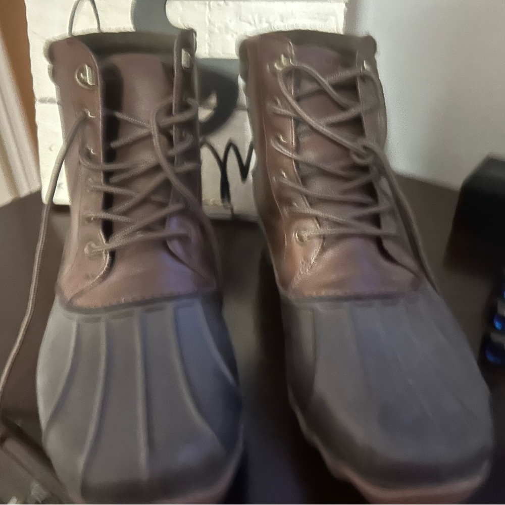 Sperry Men’s Boots
